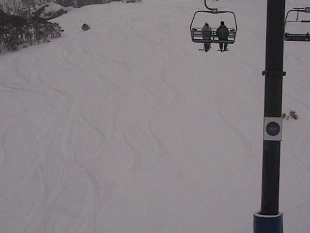 Freshies below Kareela