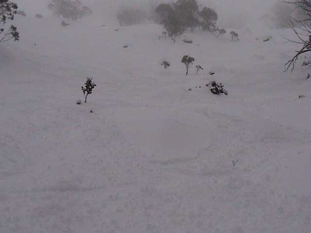 Keeping near the trees for visibility