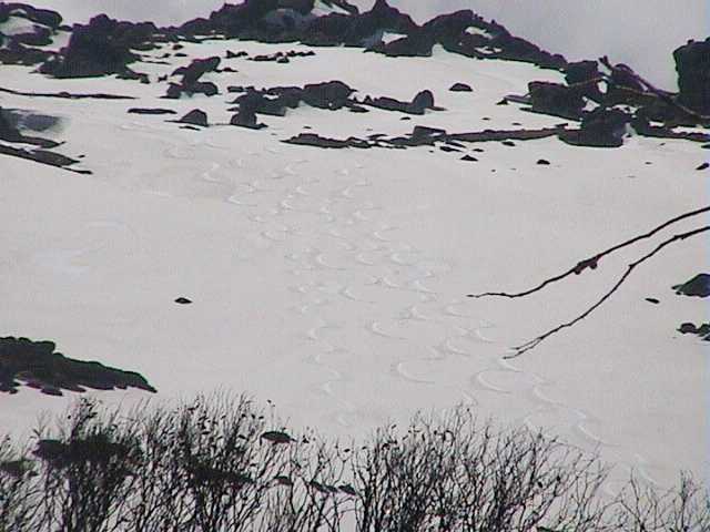 Dropping down to Bogong Creek