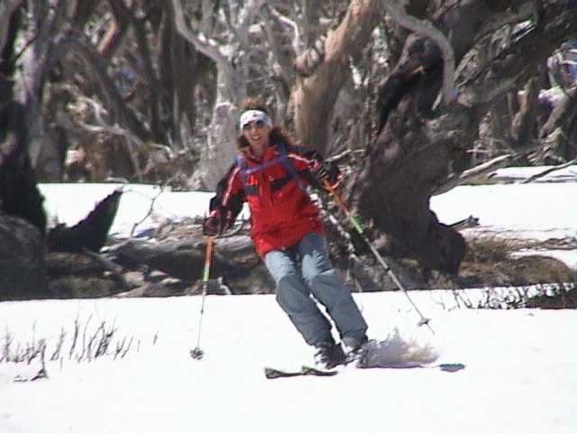 Marion in the bushfire blackened forest and the 'black fingers of death'