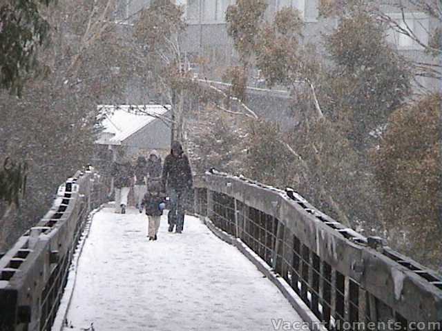 Snow gathering in the village