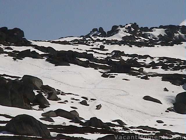 Snow between the rock and shrubs