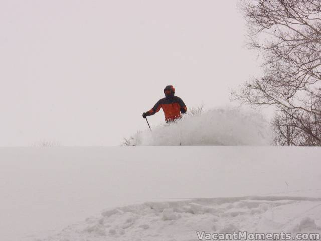 Rosco on Feb 22nd (4 months ago)