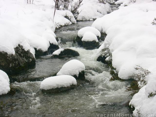 Bogong Creek