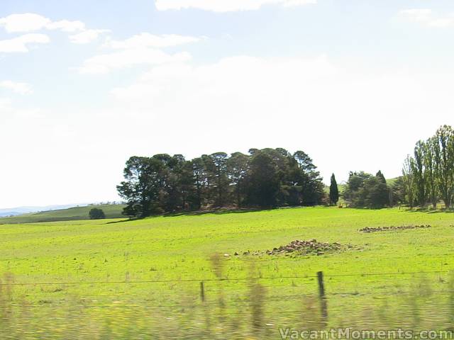 And more green