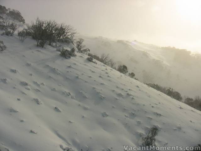 Powder Bowl