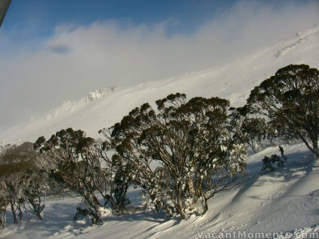 Wiamea in the distance