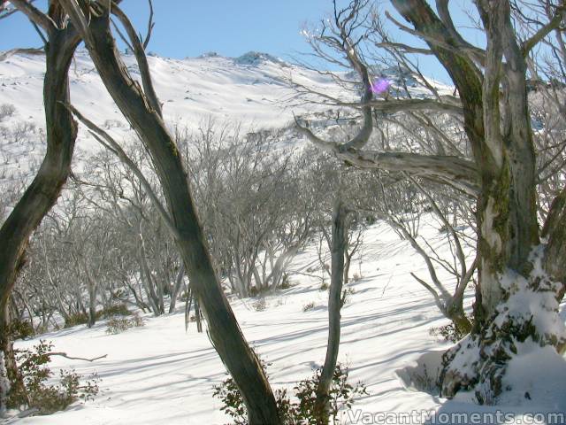 And spectacular views abound
