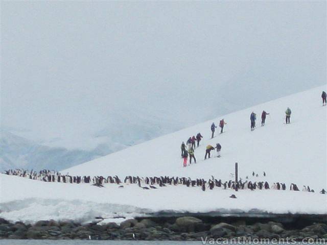 Locals farewelling several groups of ski tourers