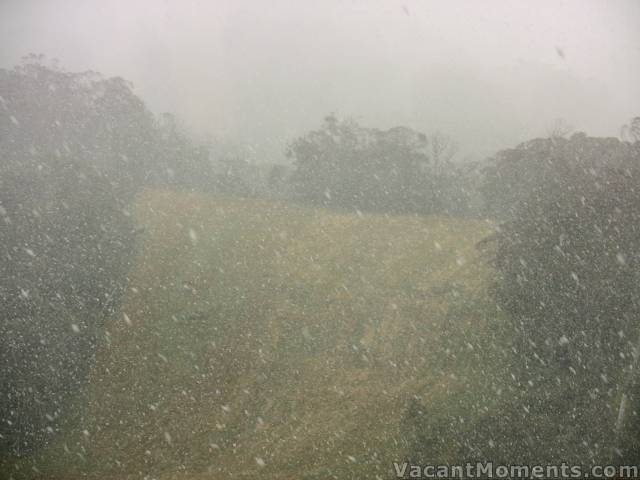 Lunch time Tuesday and big flakes are falling in the village