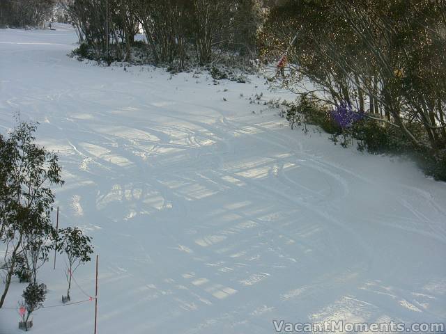 Other runs were not quite as tracked out