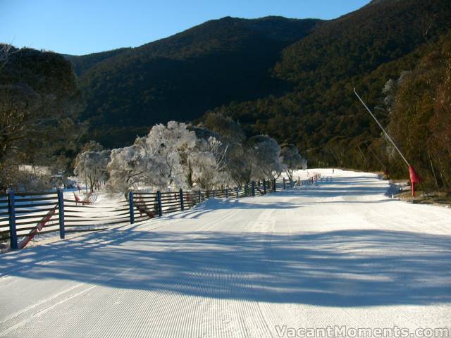 Bottom of High Noon after a night of snow making