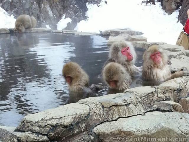 Looking at the faces, there are so many captions that come to mind<BR>but I'll refrain ;-) - photo courtesy of Traktorman