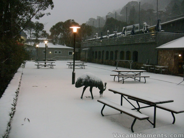 <b>July 5th</b>: Thredbo 7:15am Friday morning as seen on ABC TV