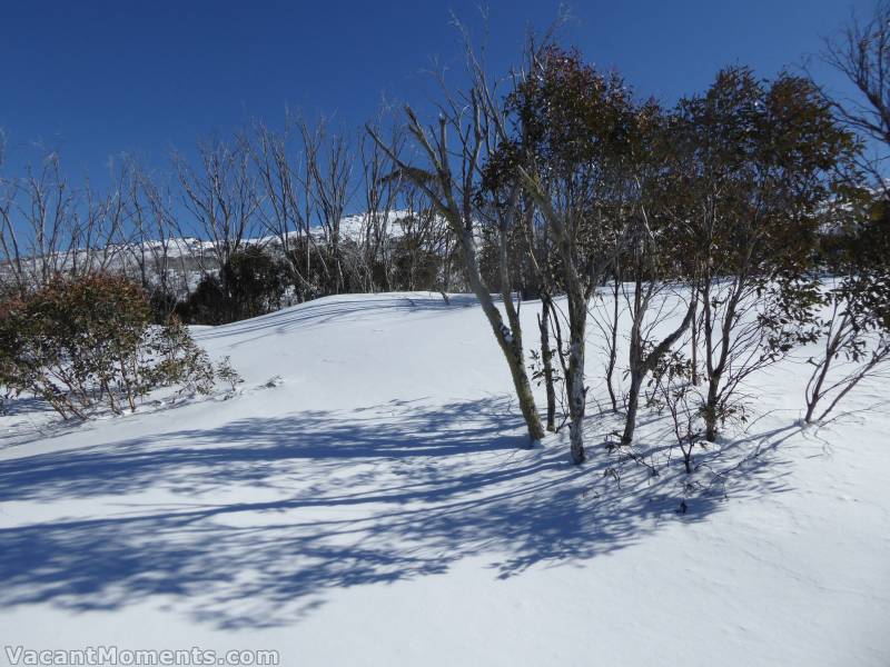 The untracked was surprisingly dry and soft - a delight to ski