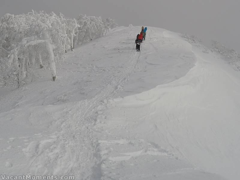 Frozen trees and wind-scoured ridge lines