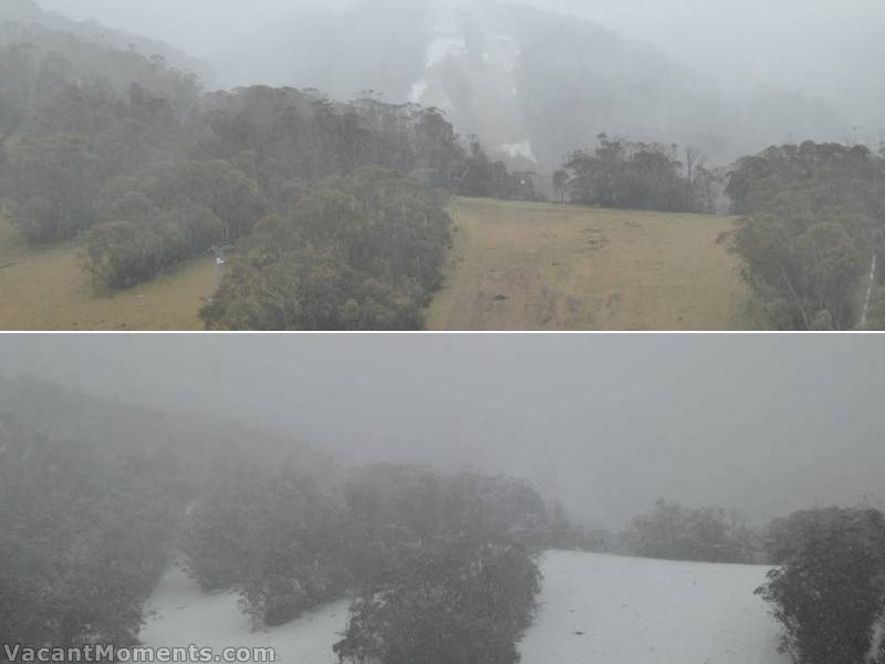 Sundance & High Noon yesterday and then this morning
