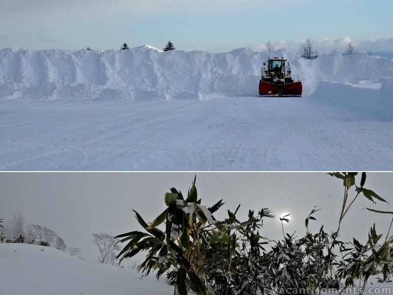 Despite the mountains of snow, much of the off piste could do with more (Rosco)